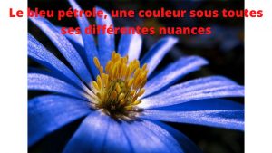 bleu pétrole